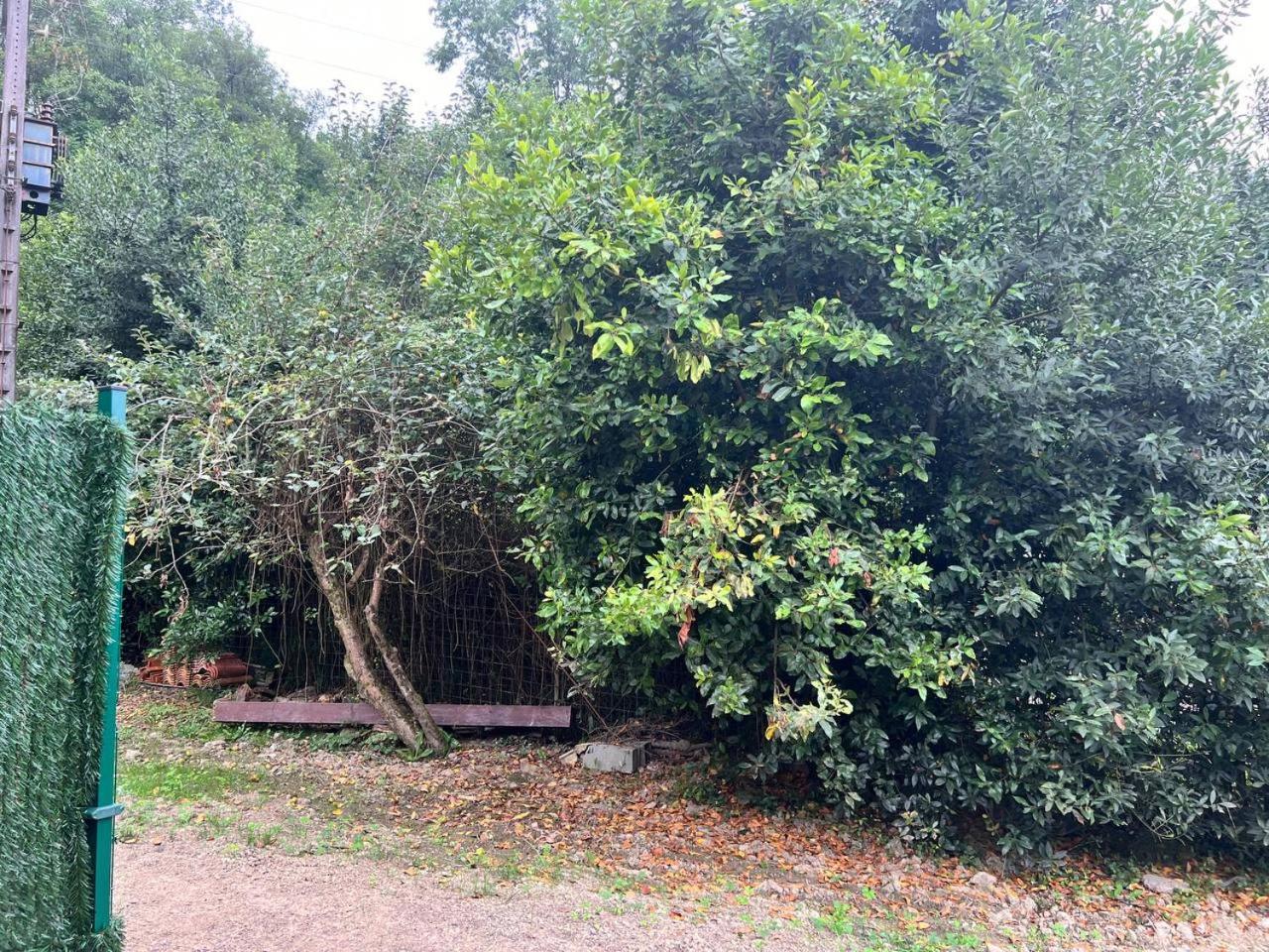 Erletxe Aterpea Hostel Lezo Bagian luar foto